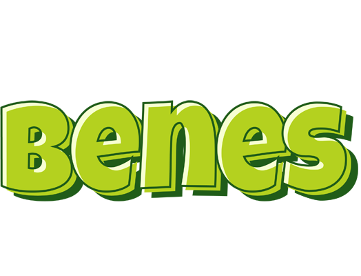 Benes summer logo
