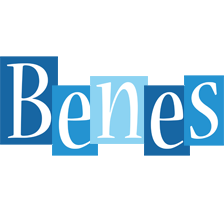 Benes winter logo