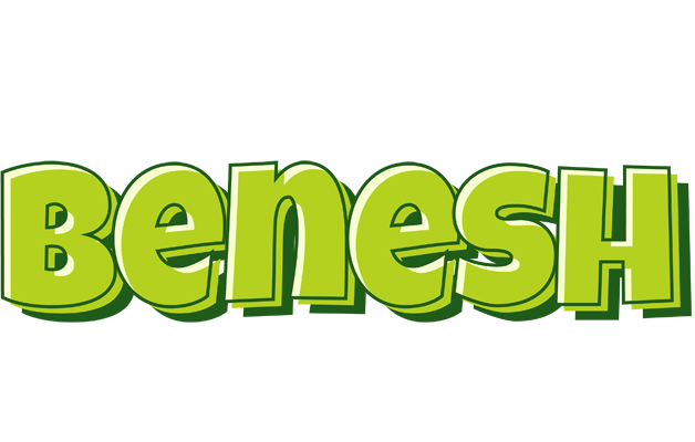 Benesh summer logo