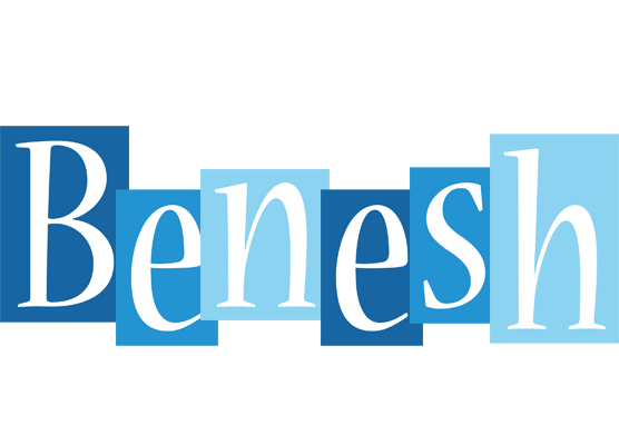 Benesh winter logo