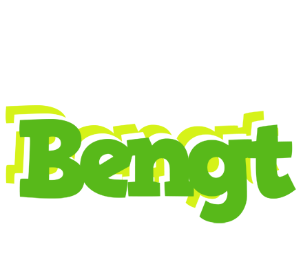 Bengt picnic logo