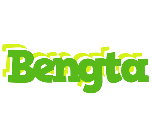Bengta picnic logo