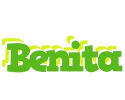 Benita picnic logo