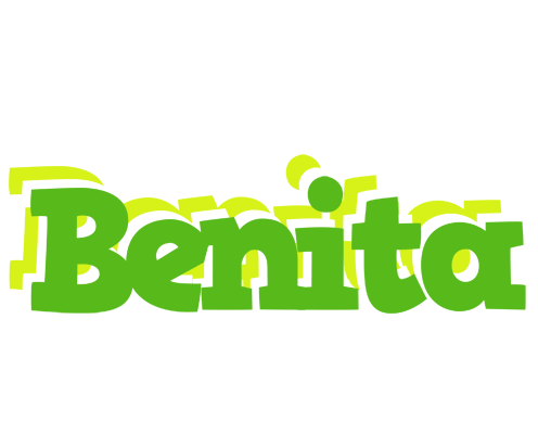 Benita picnic logo