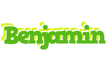 Benjamin picnic logo