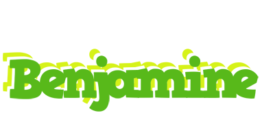 Benjamine picnic logo