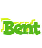 Bent picnic logo