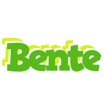 Bente picnic logo