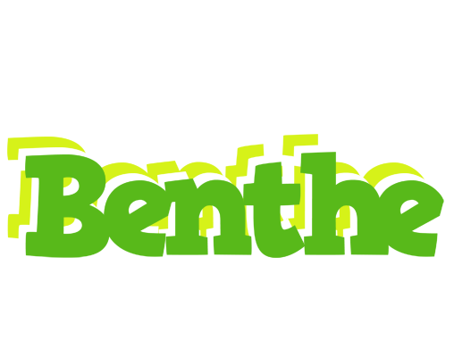 Benthe picnic logo