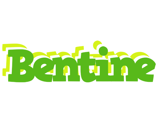 Bentine picnic logo