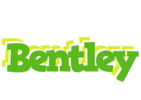 Bentley picnic logo