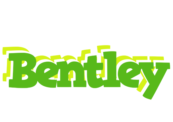 Bentley picnic logo