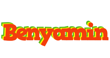 Benyamin bbq logo