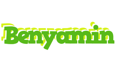 Benyamin picnic logo