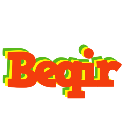 Beqir bbq logo