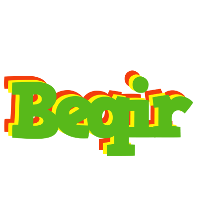 Beqir crocodile logo