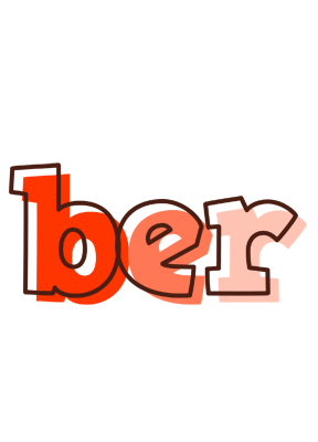 Ber paint logo