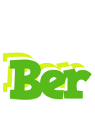 Ber picnic logo