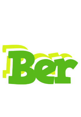 Ber picnic logo