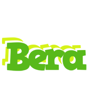 Bera picnic logo