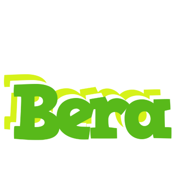 Bera picnic logo