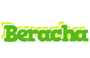 Beracha picnic logo