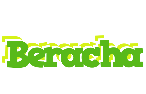 Beracha picnic logo