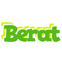 Berat picnic logo