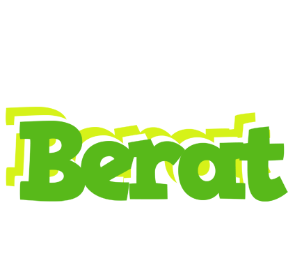 Berat picnic logo
