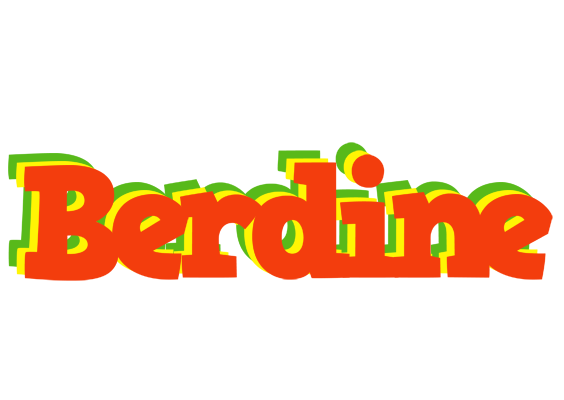 Berdine bbq logo