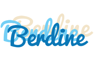 Berdine breeze logo