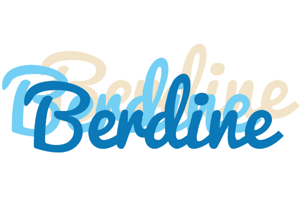 Berdine breeze logo