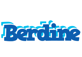 Berdine business logo