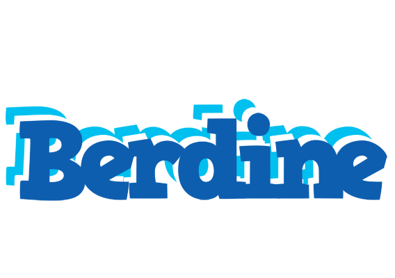 Berdine business logo