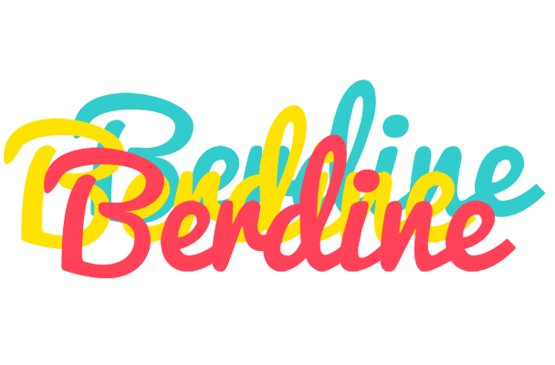 Berdine disco logo