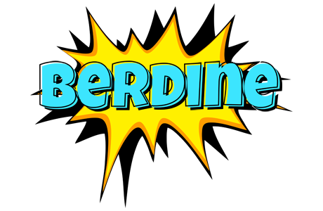 Berdine indycar logo