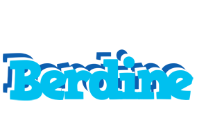 Berdine jacuzzi logo