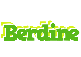 Berdine picnic logo