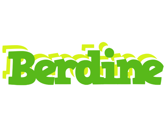 Berdine picnic logo