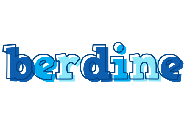 Berdine sailor logo
