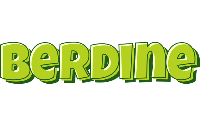 Berdine summer logo