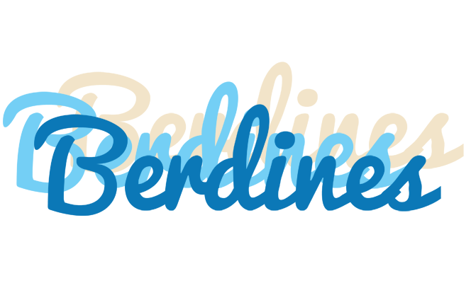Berdines breeze logo