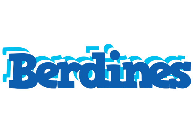 Berdines business logo