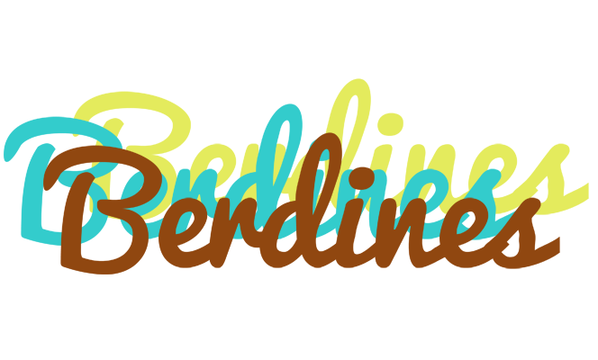 Berdines cupcake logo
