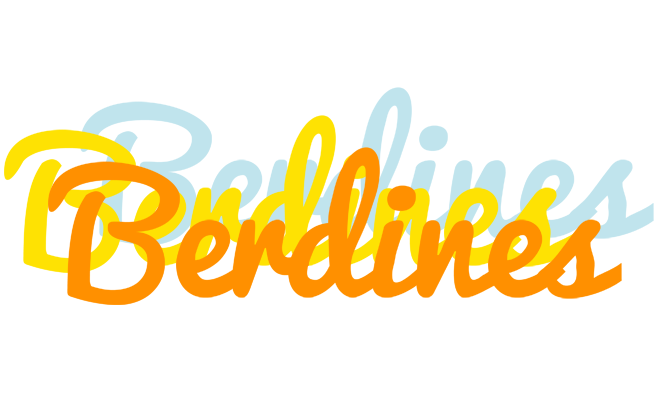 Berdines energy logo
