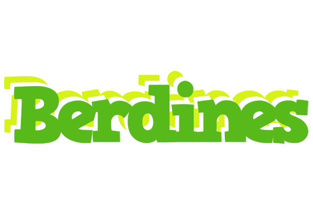 Berdines picnic logo