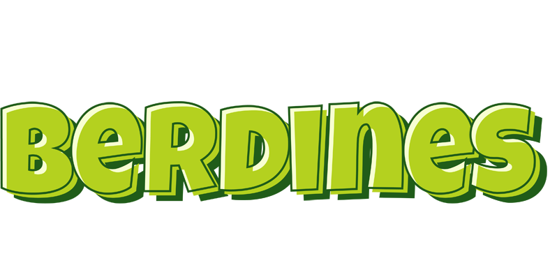 Berdines summer logo
