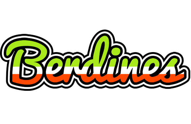 Berdines superfun logo