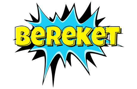 Bereket amazing logo