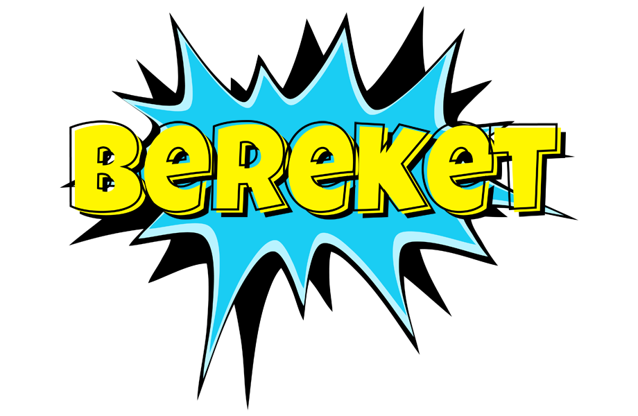Bereket amazing logo